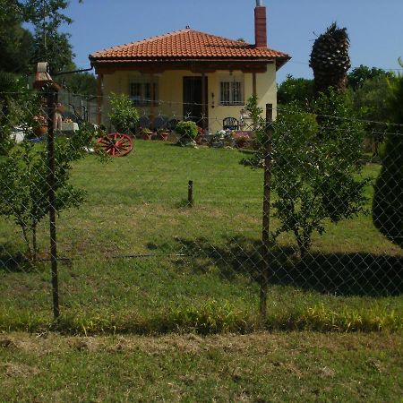 הוילה נאה רודה Xerxis Hill/Chalkidiki Τρυπητή Χαλκιδικής מראה חיצוני תמונה